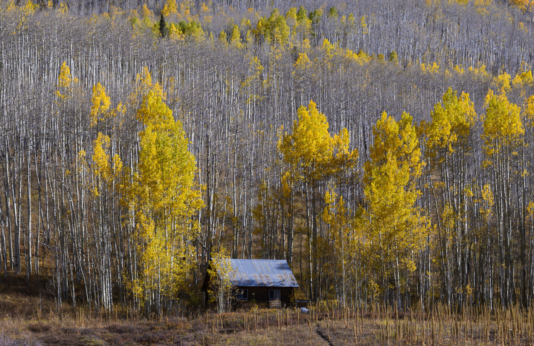 10_06_19 crested butte0397.JPG